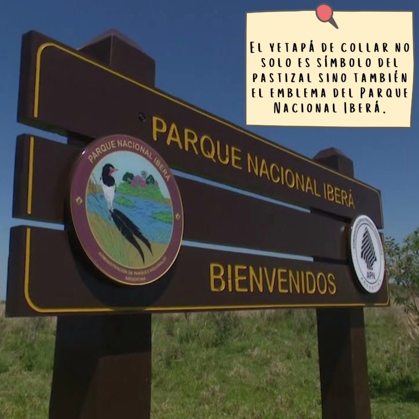 Mapa detallado de toda la región de los Esteros del Iberá con sus accesos y portales.