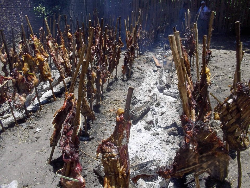 Turismo ecológico en Carambola