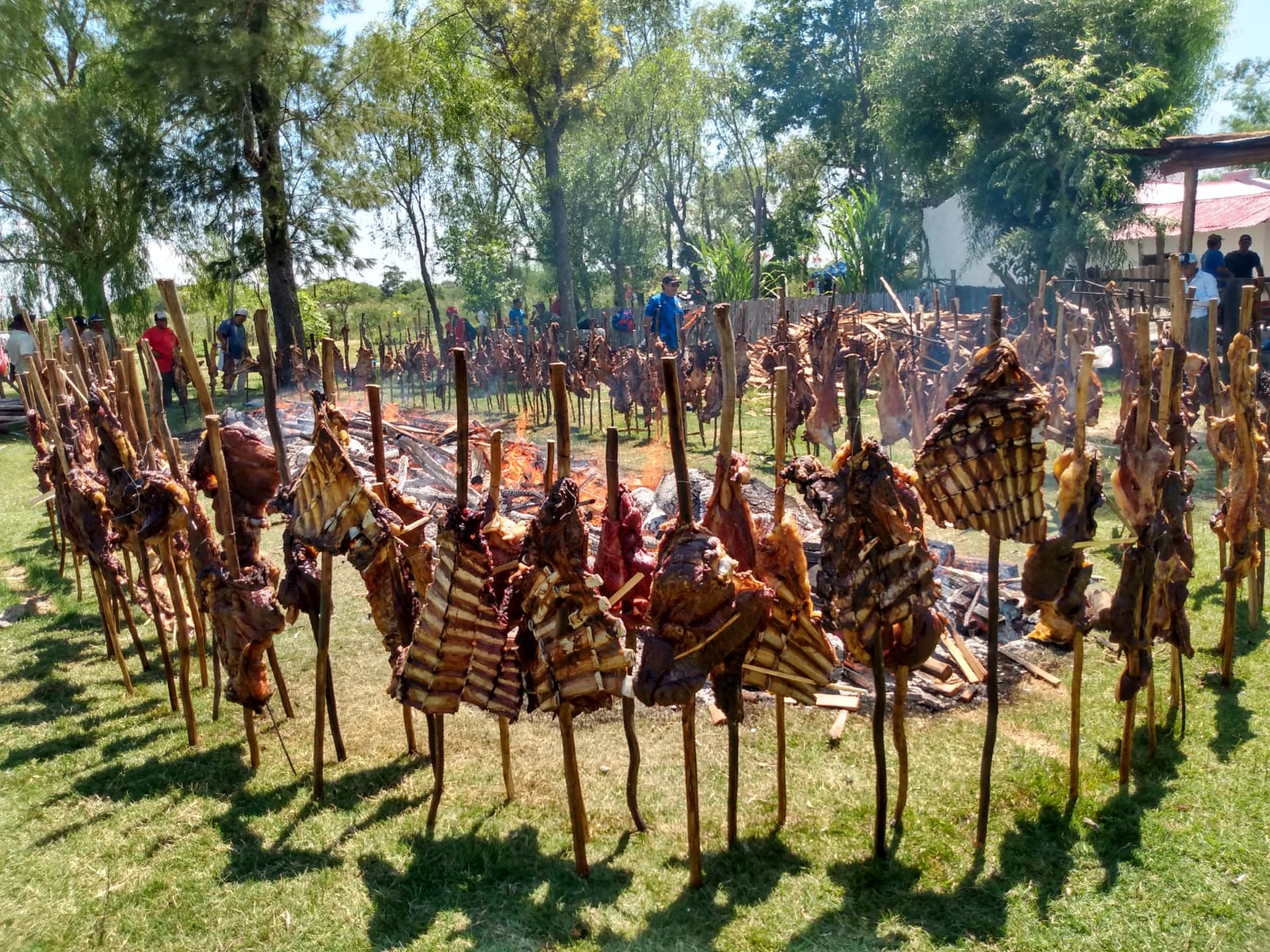 Turismo ecológico en Carambola