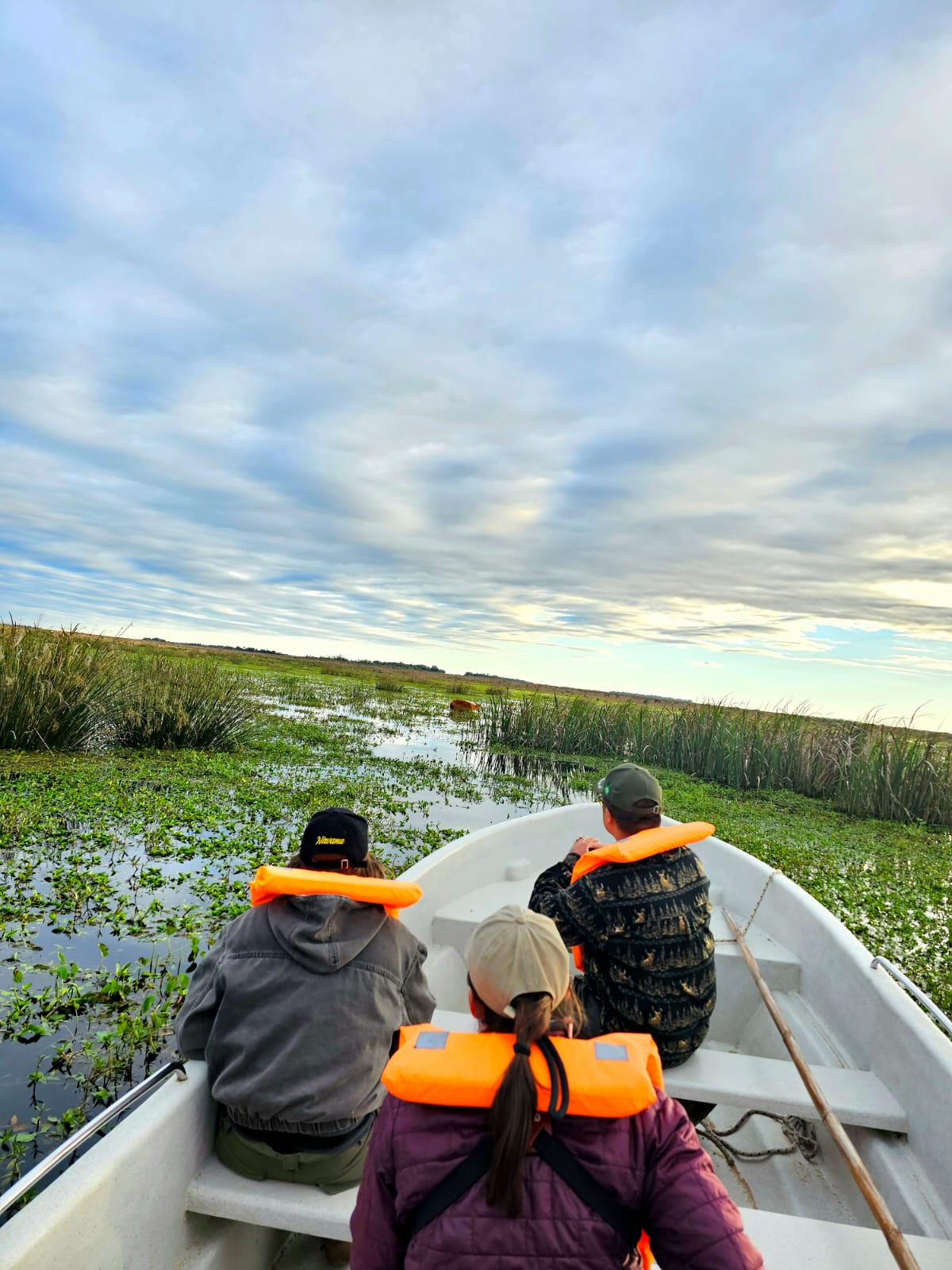Paseo en canoa por los esteros