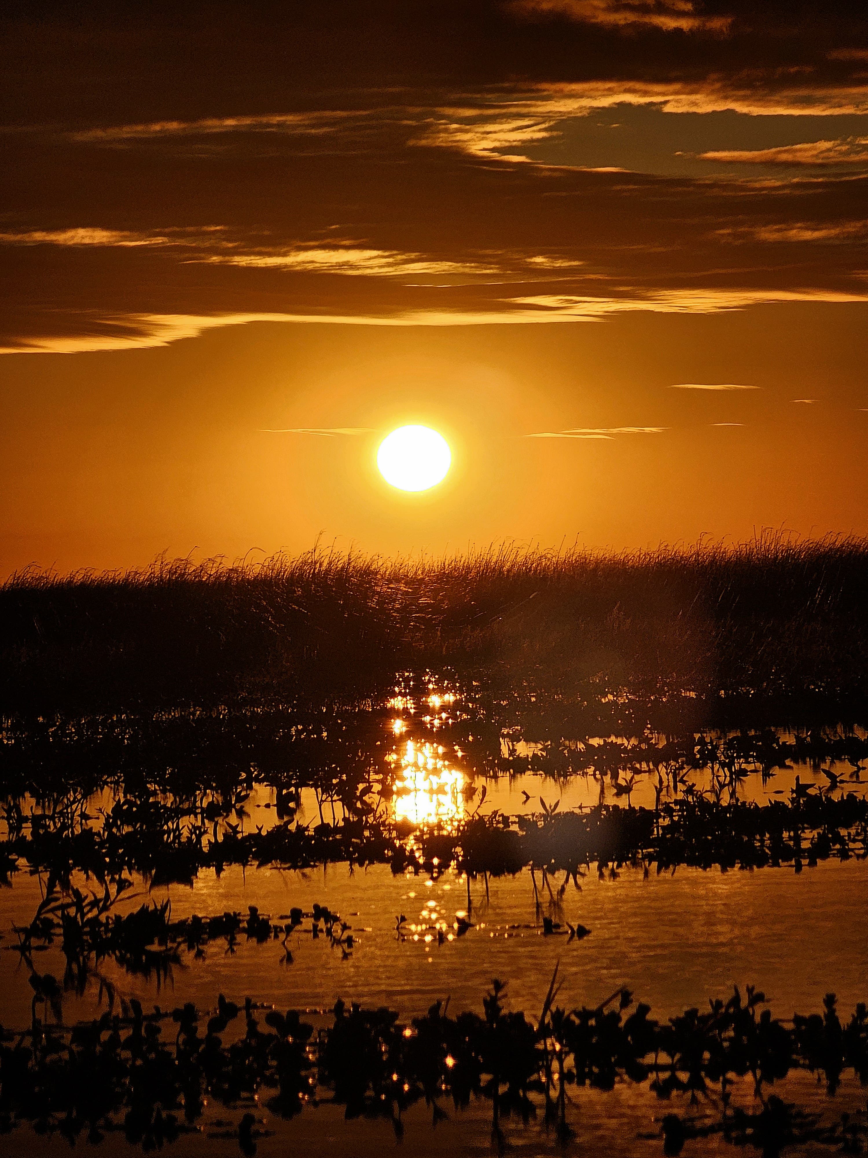 Atardecer en los esteros