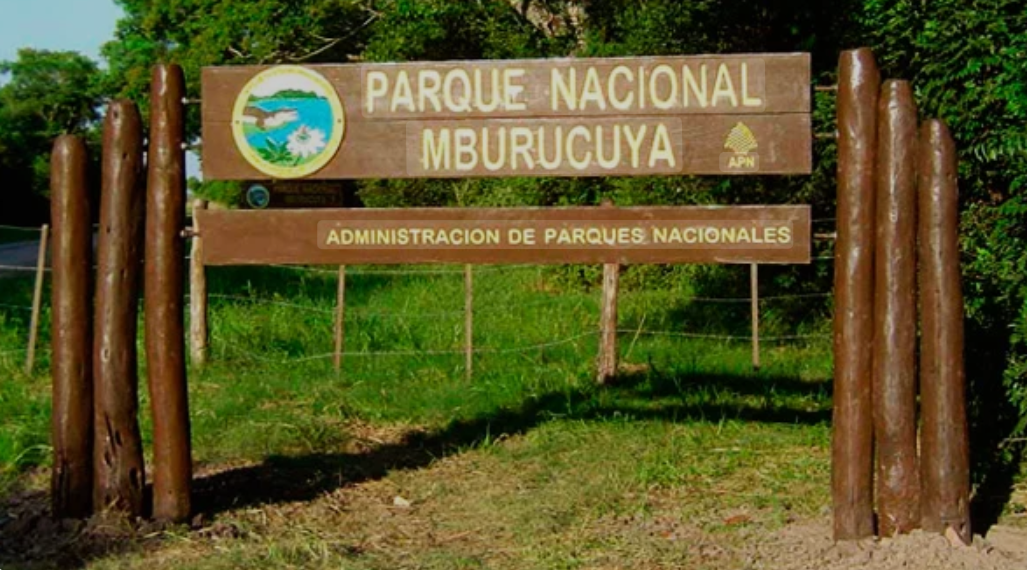 Imagen del portal Mburucuyá